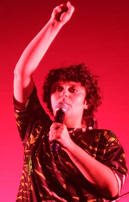 Ana Frango Elétrico