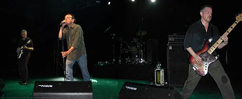 The Jesus Lizard