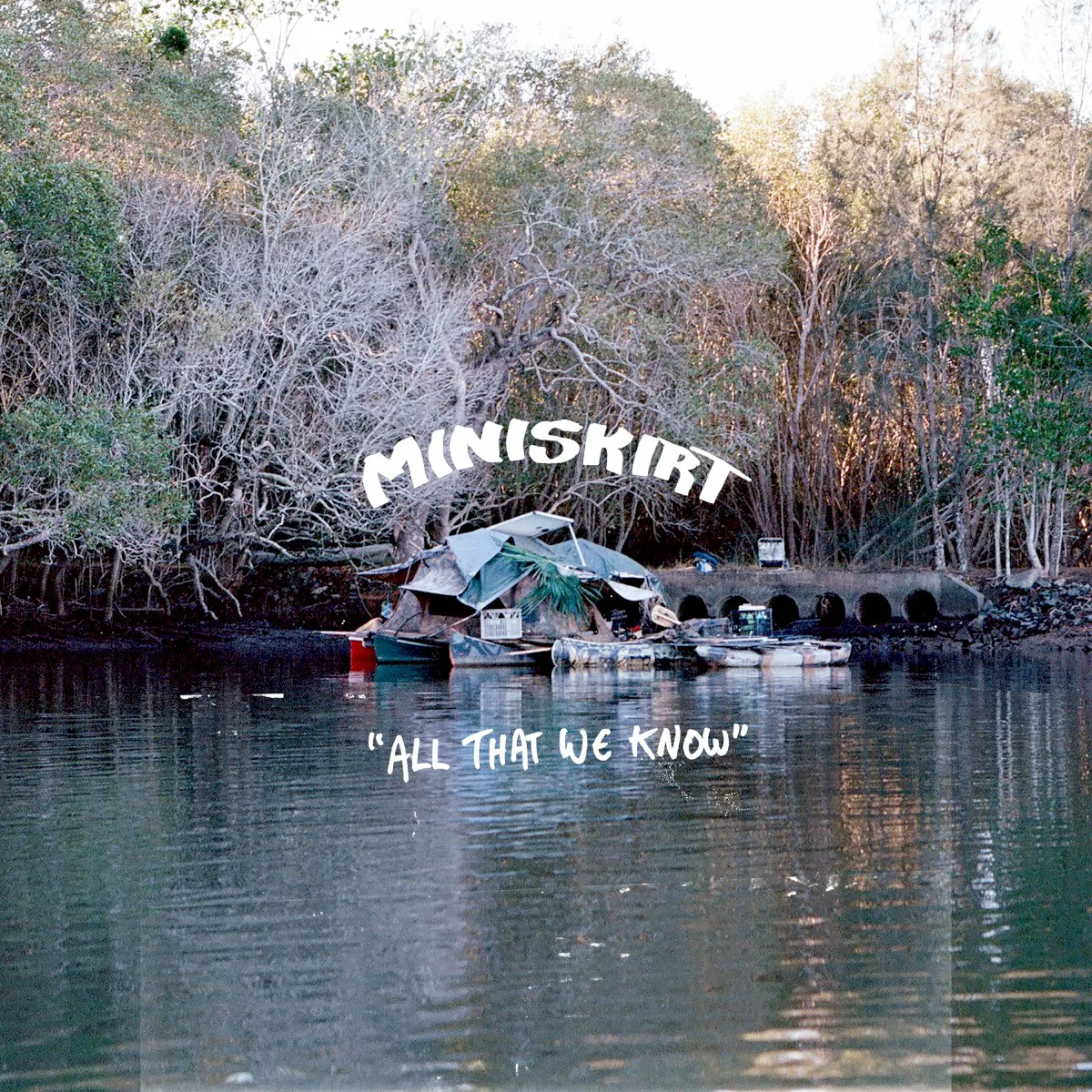 Cover of Mini Skirt – All That We Know