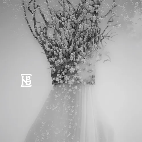 Cover of Negură Bunget – Zău