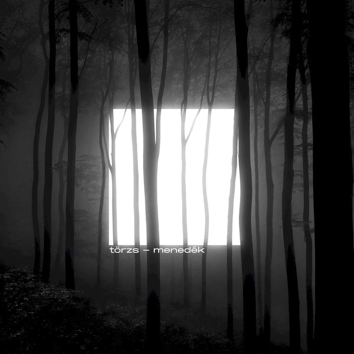 Cover of TÖRZS – Menedék