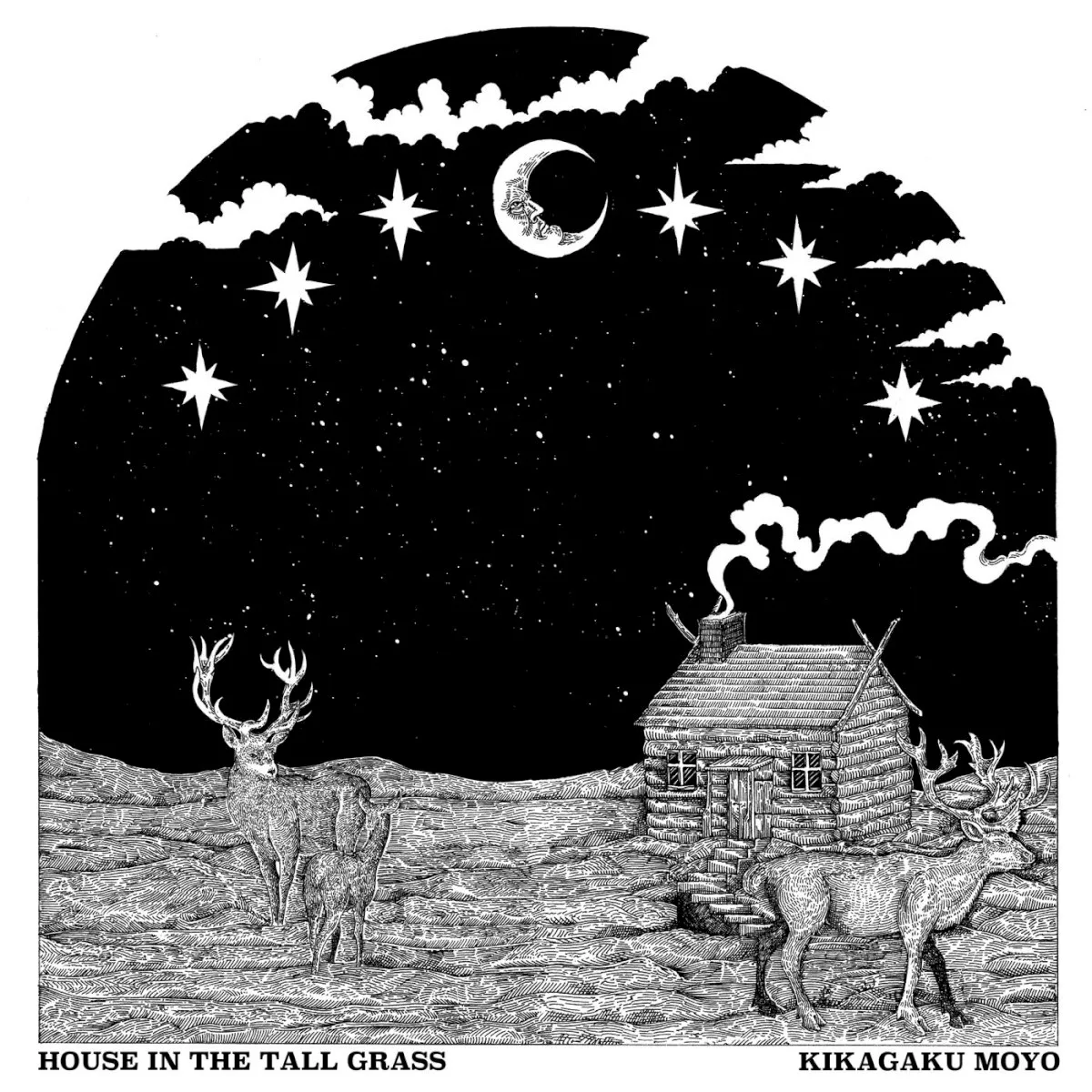 Cover of 幾何学模様 – House in the Tall Grass