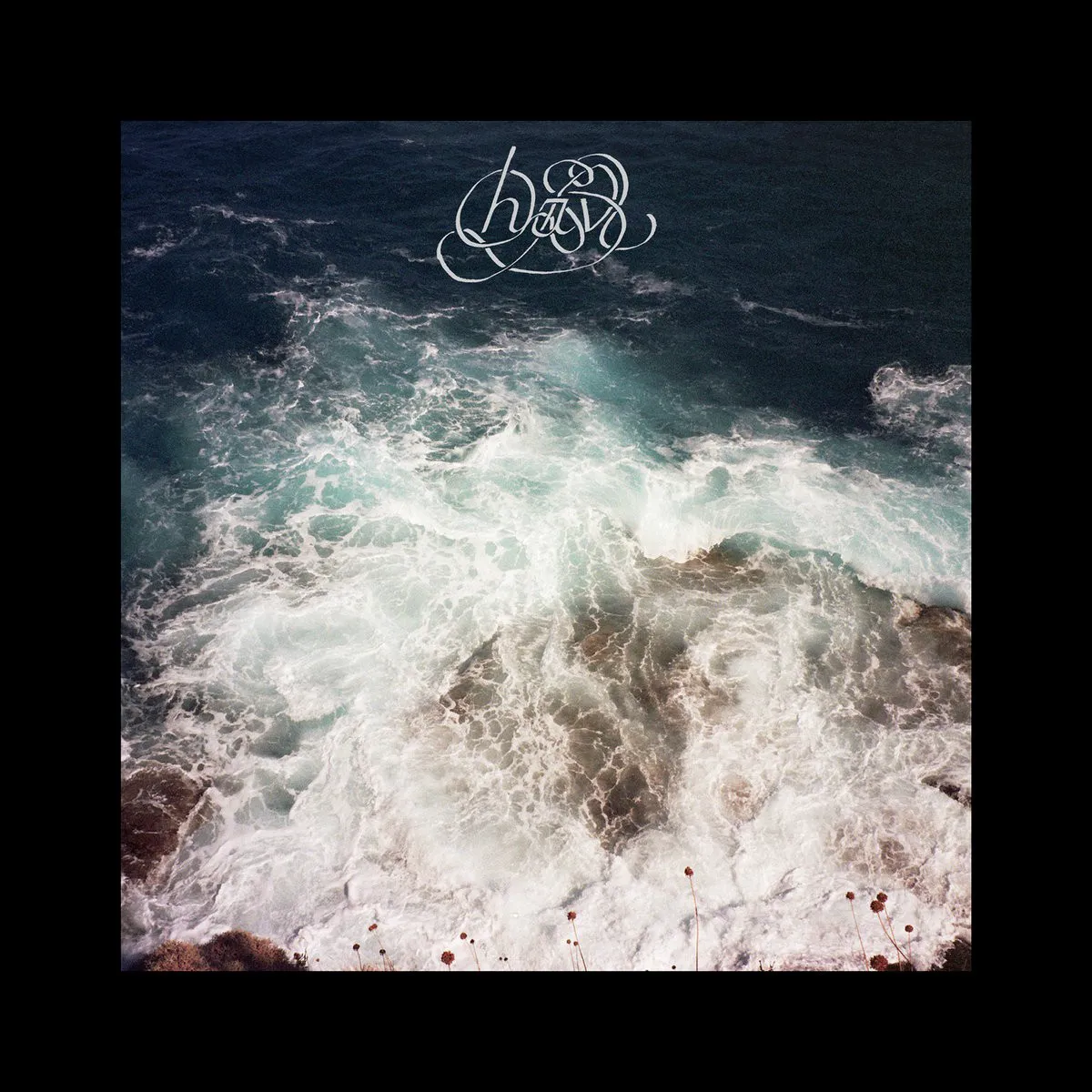 Cover of Hav