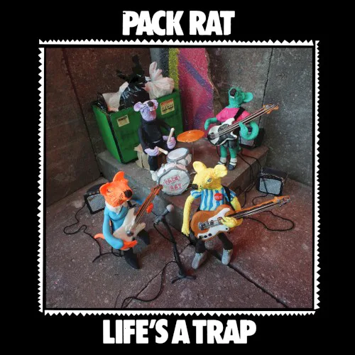 Pack Rat