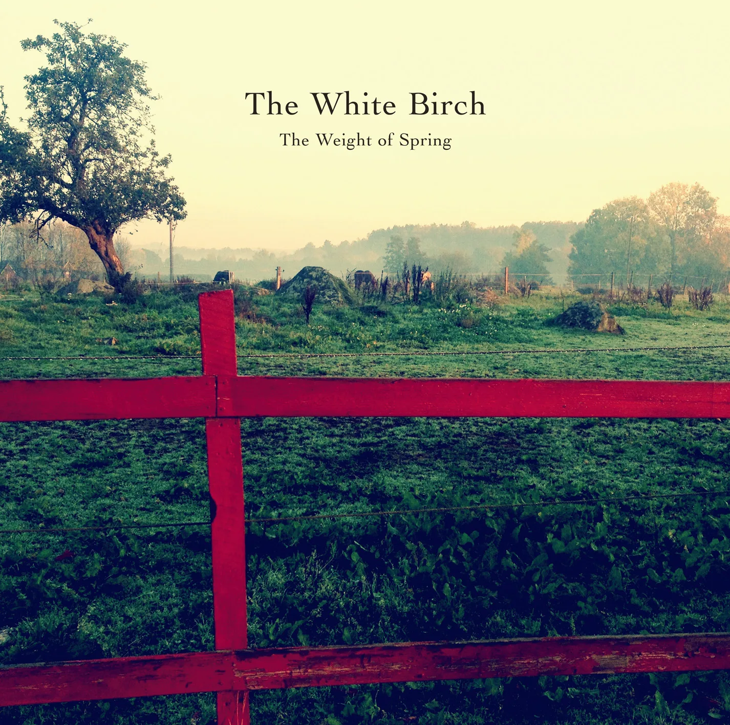 Cover of The White Birch – The Weight of Spring