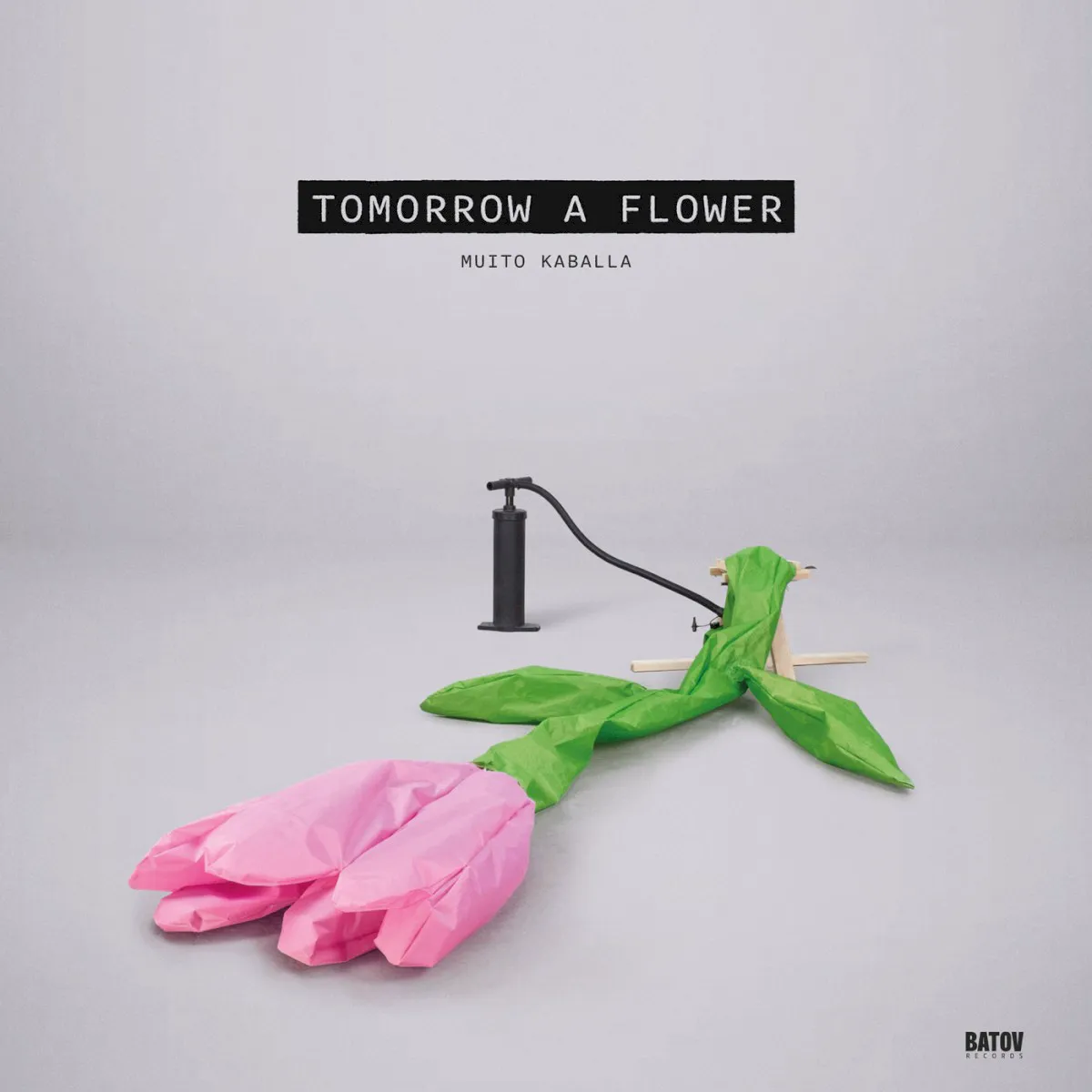 Cover of Tomorrow a Flower