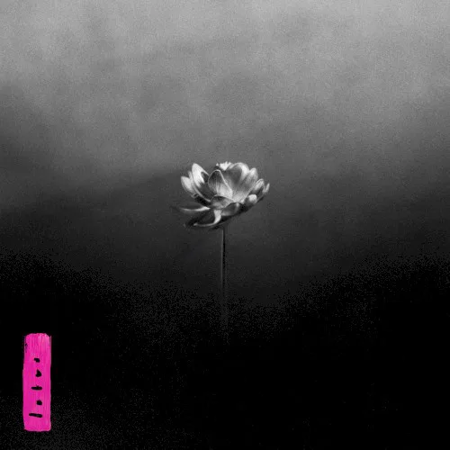 Cover of Little Simz – Lotus
