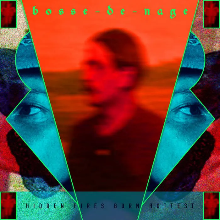 Cover of Hidden Fires Burn Hottest