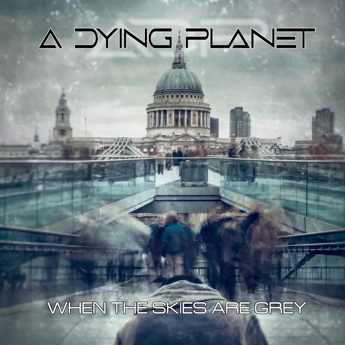 Cover of When the Skies Are Grey