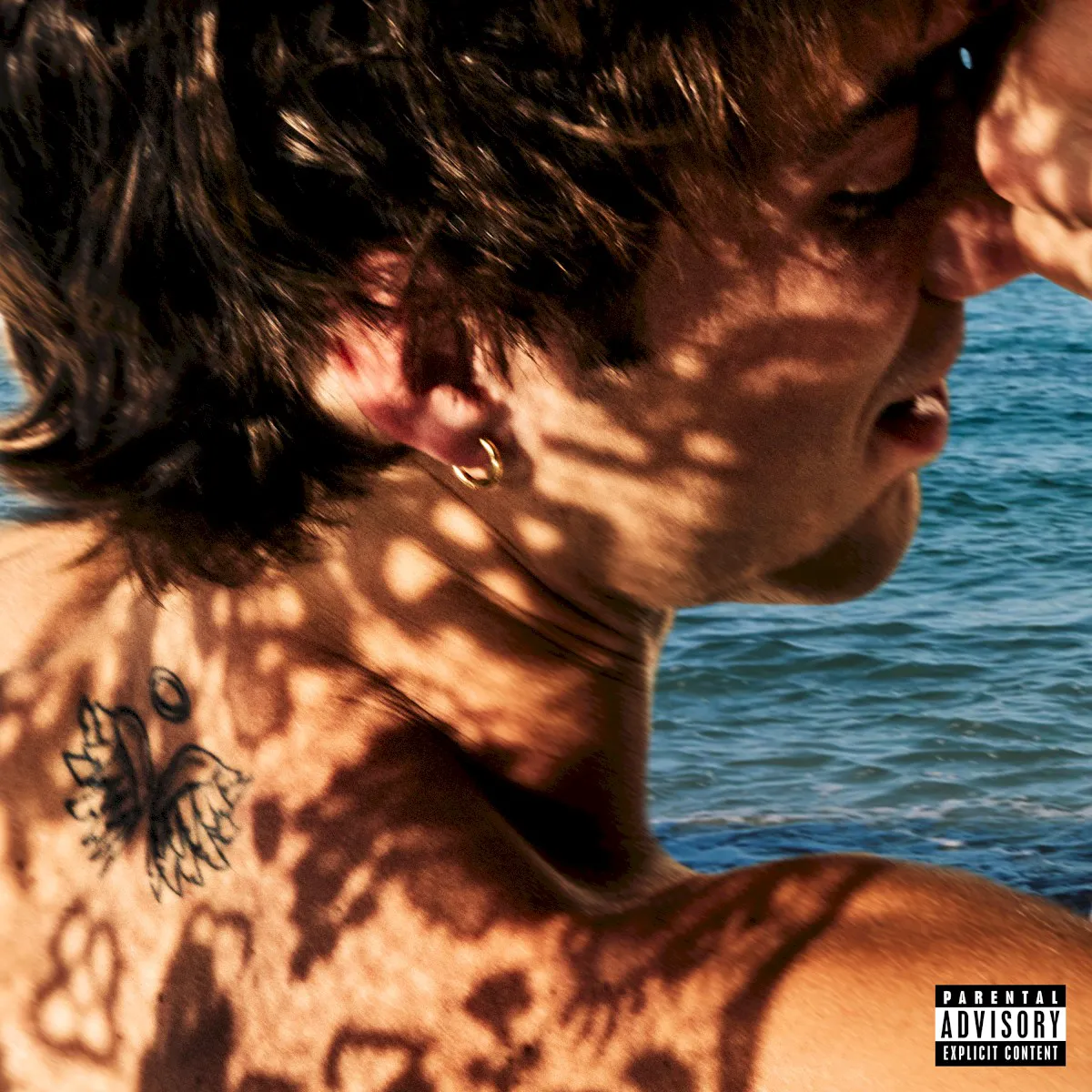 Cover of Second Wind