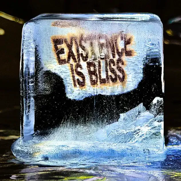 Cover of Existence Is Bliss