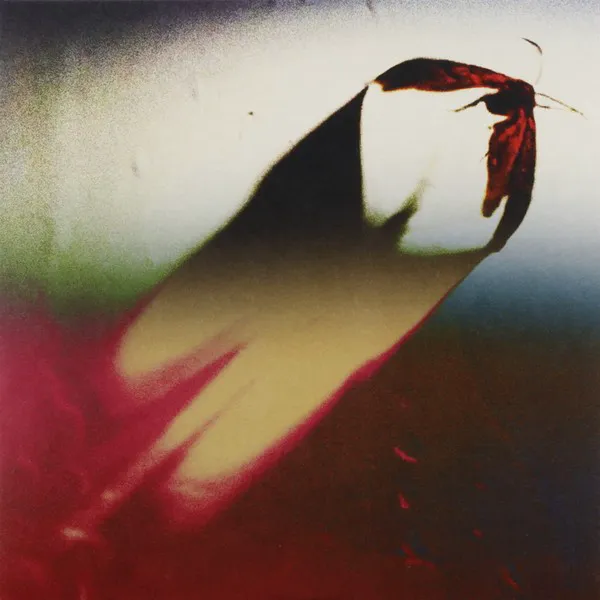 Cover of Are We All Angels