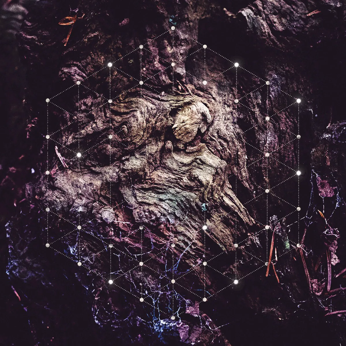 Cover of Psychonaut – Unfold the God Man