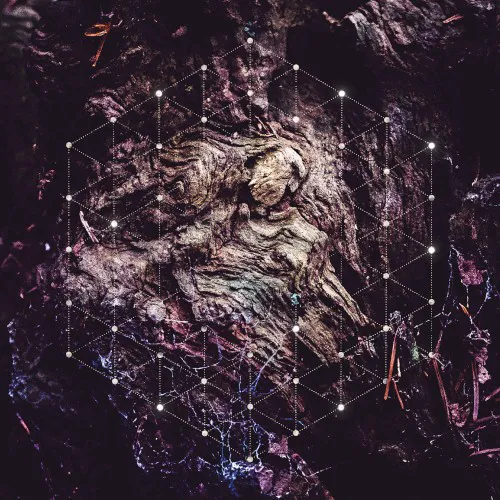 Psychonaut