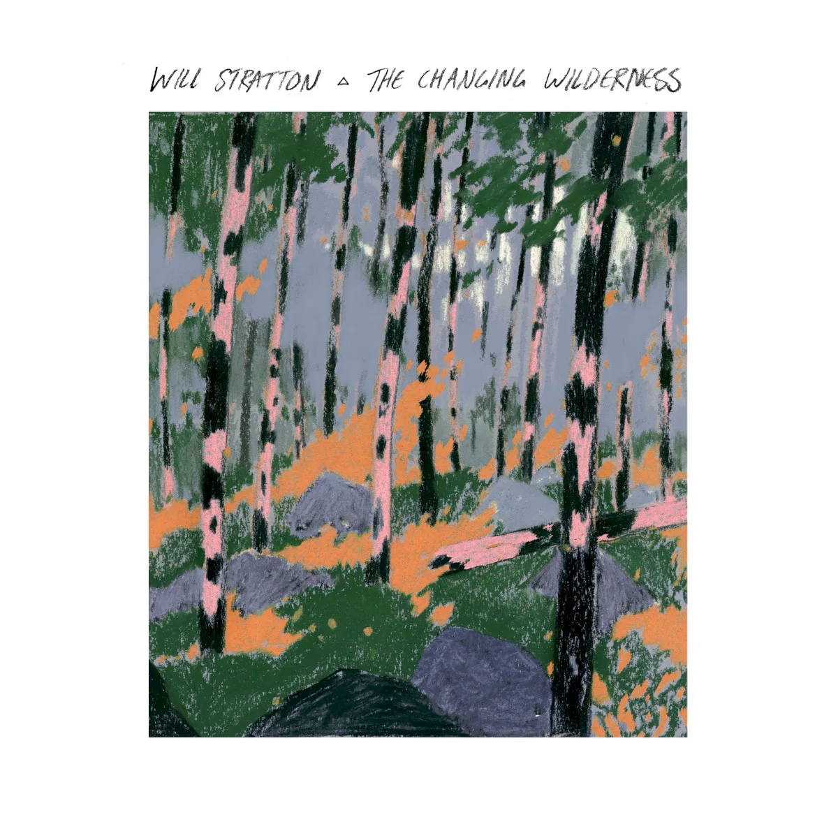 Cover of Will Stratton – The Changing Wilderness