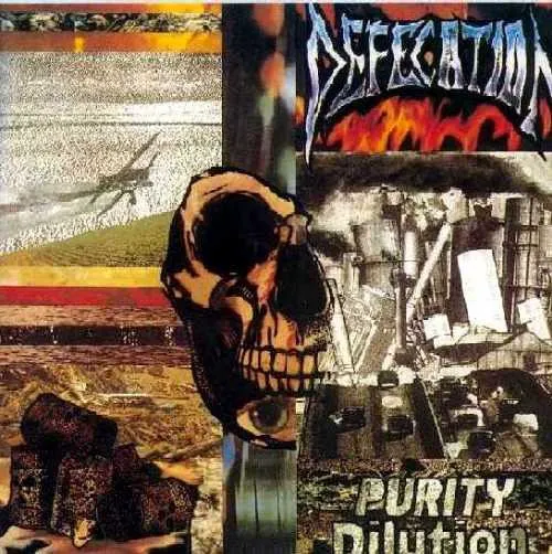 Cover of Purity Dilution
