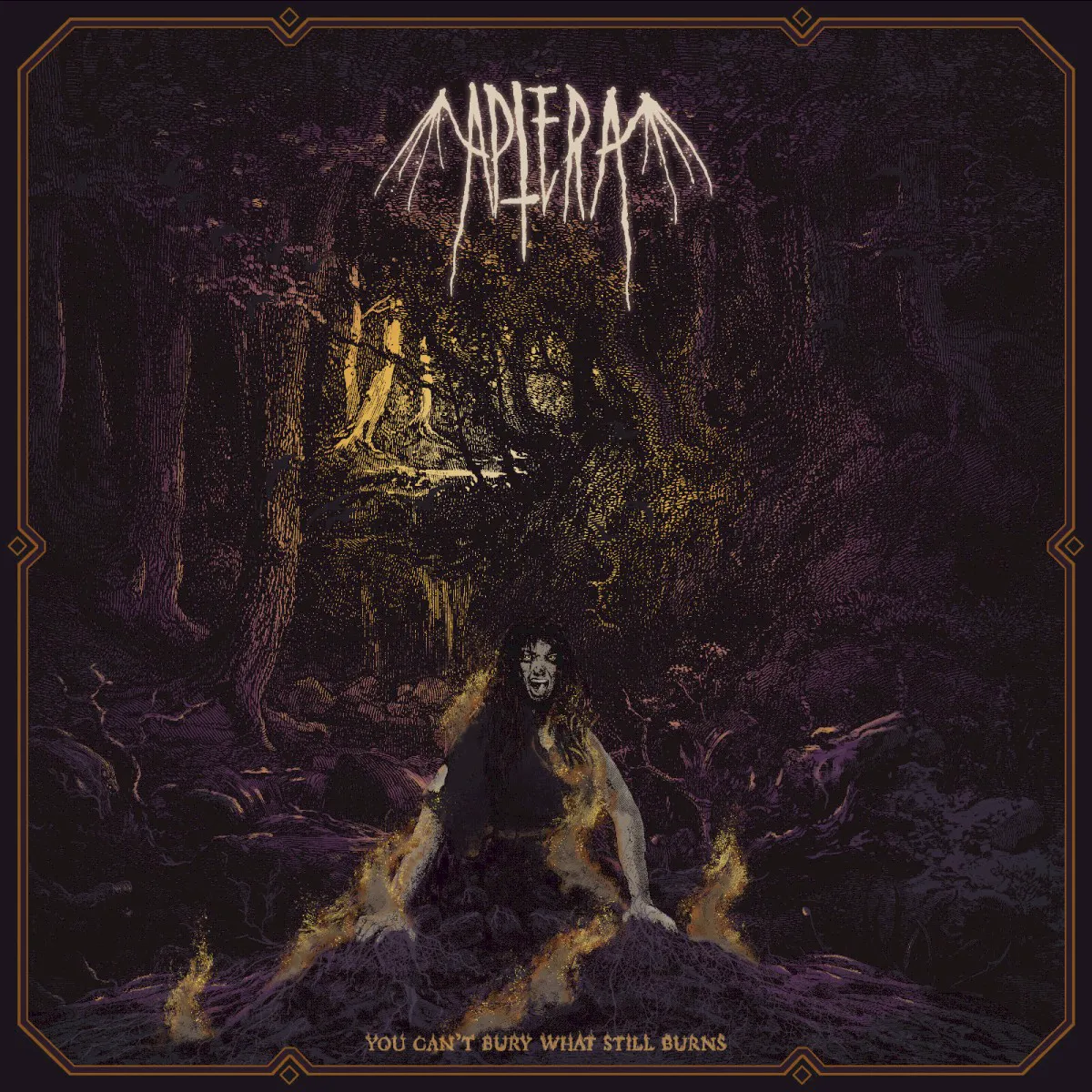 Obal alba You Can't Bury What Still Burns