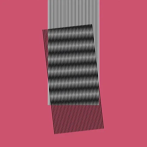 Cover of Hot Chip – Why Make Sense?