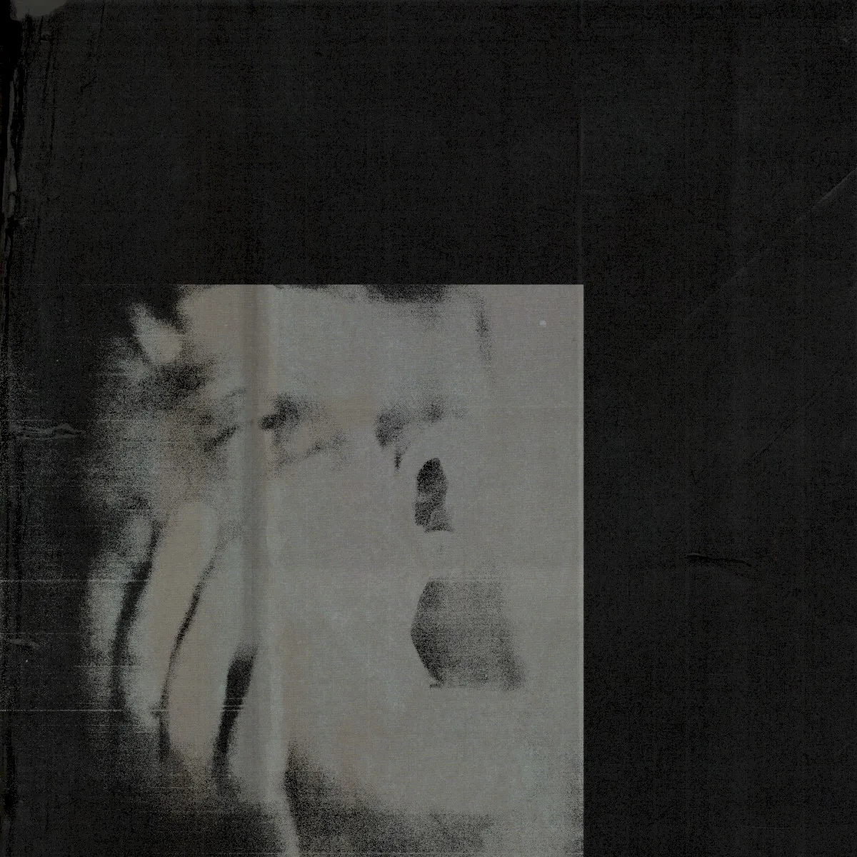 Cover of DITZ – Never Exhale