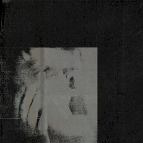 Cover of DITZ – Never Exhale