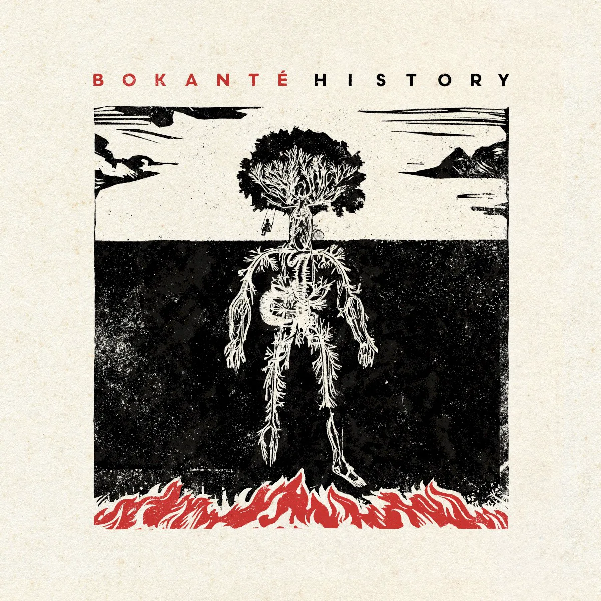 Cover of Bokanté – History