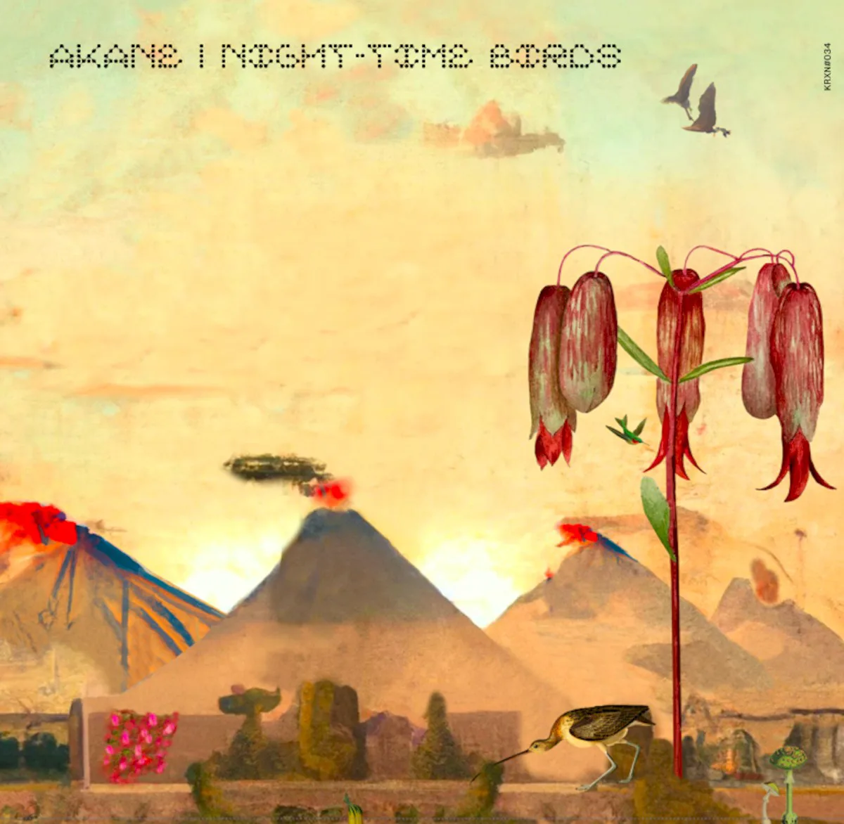 Cover of Akane – Night-Time Birds