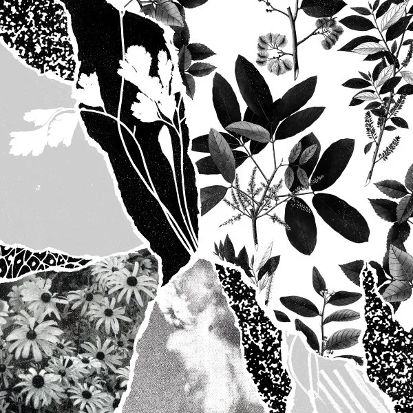 Cover of Ponctuation – Mon Herbier Du Monde Entier
