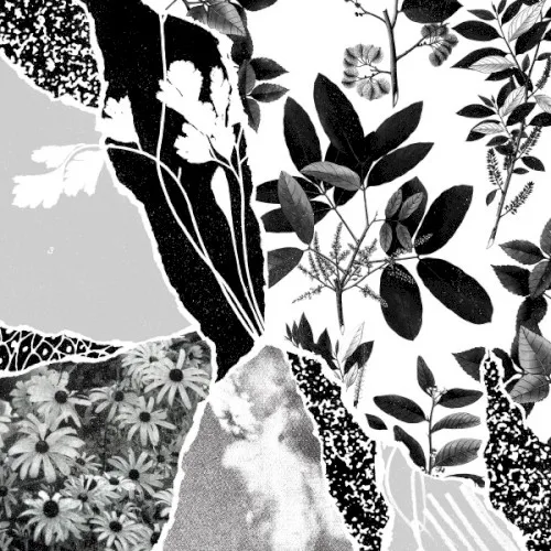Cover of Ponctuation – Mon Herbier Du Monde Entier