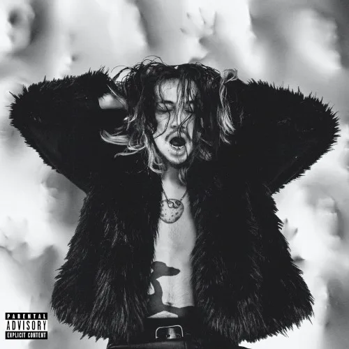 Cover of Kxllswxtch – The Walls Have Eyes