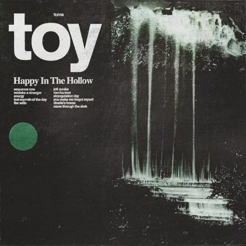 Cover of TOY – Happy in the Hollow