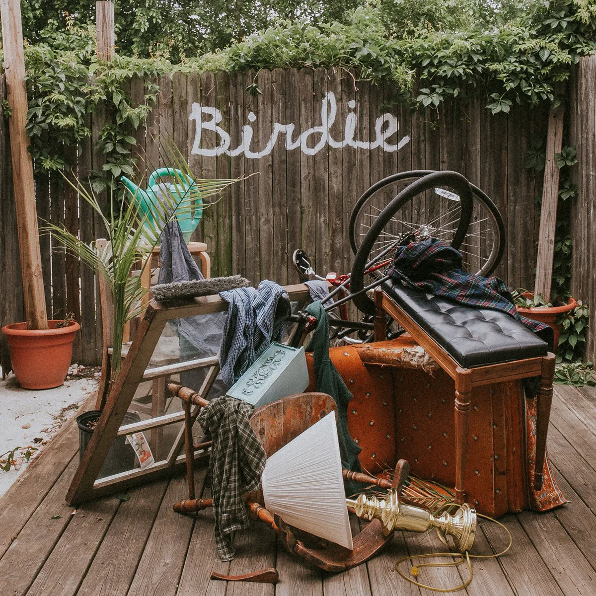 Cover of Slaughter Beach, Dog – Birdie