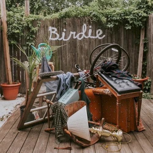 Cover of Slaughter Beach, Dog – Birdie