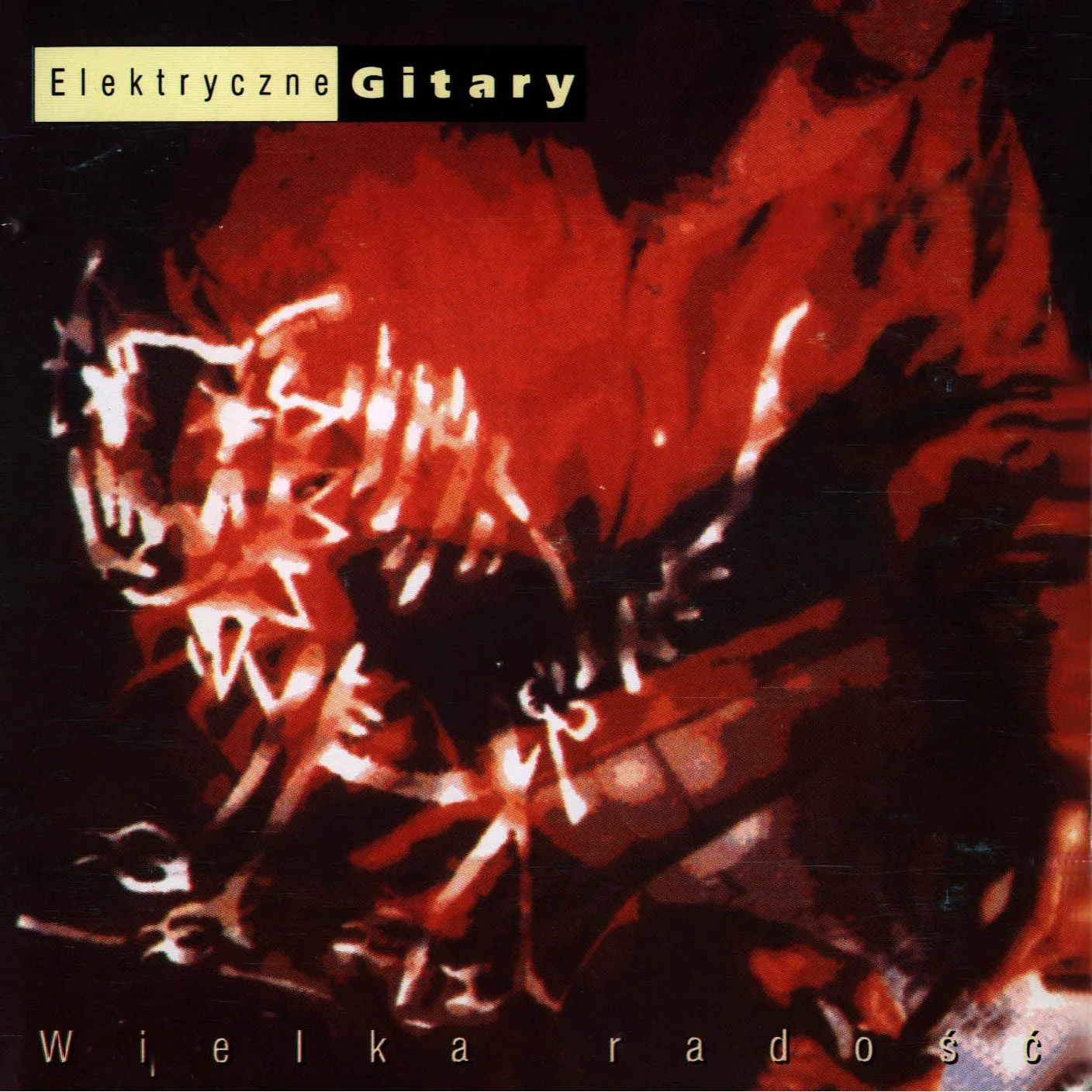 Cover of Elektryczne Gitary – Wielka radość