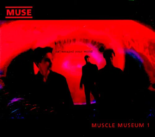 Cover of Muse – Muscle Museum