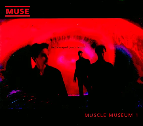 Cover of Muse – Muscle Museum