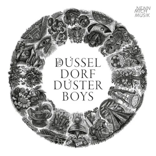 Cover of The Düsseldorf Düsterboys – Nenn mich Musik