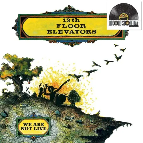 Obal alba 13th Floor Elevators – We Are Not Live