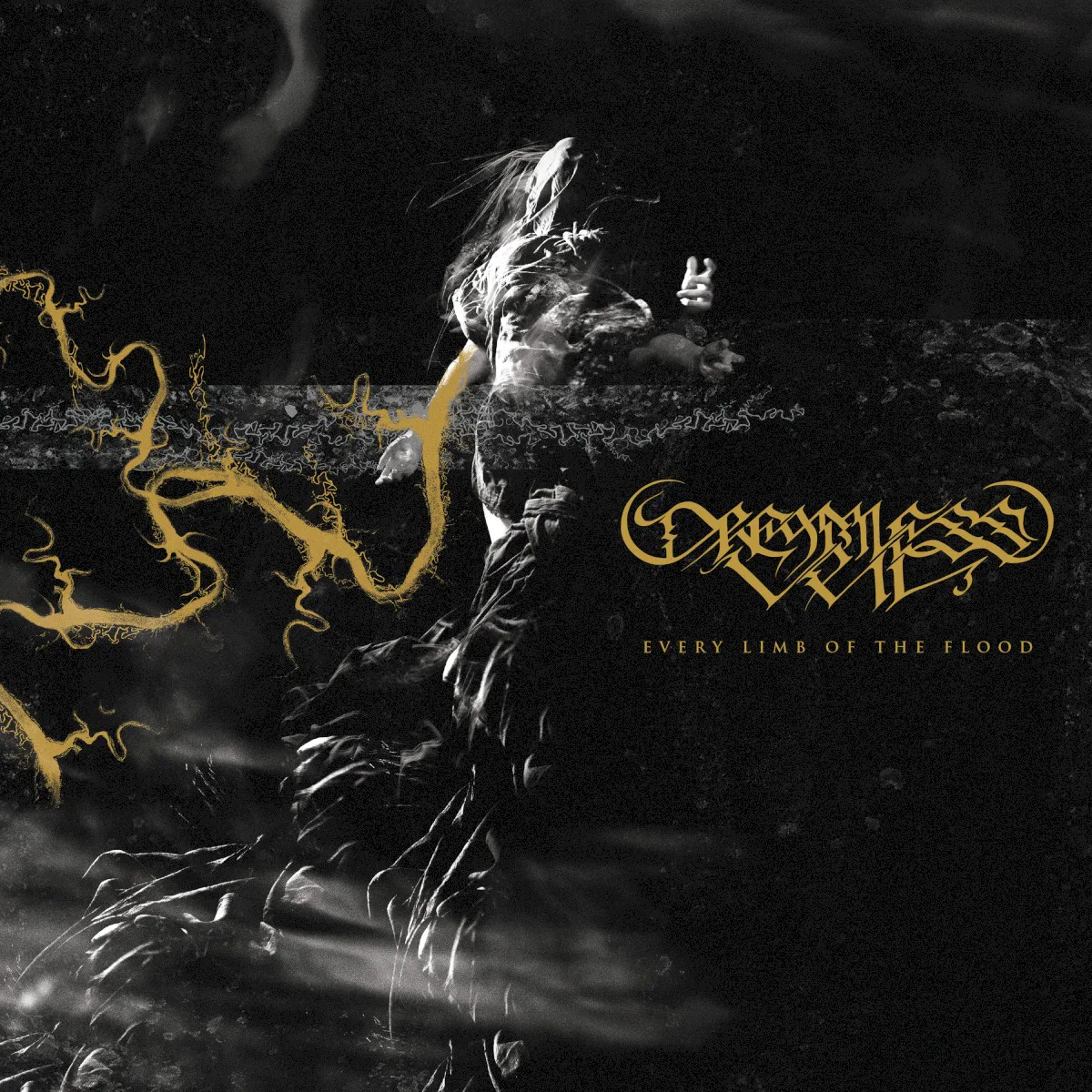 Cover of Dreamless Veil – Every Limb of the Flood