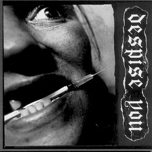 Cover of Despise You – West Side Horizons