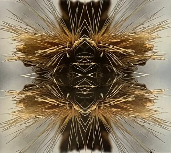 Cover of Yakuza – Sutra