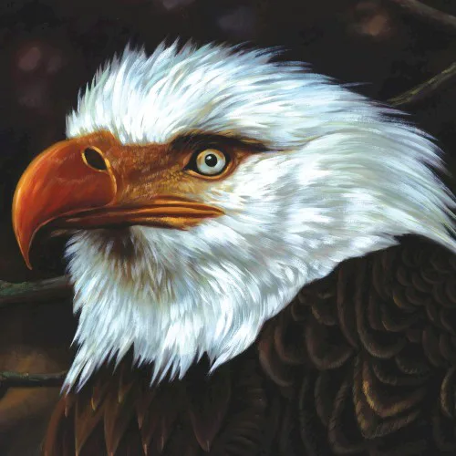 Obal albumu Mogwai – The Hawk Is Howling
