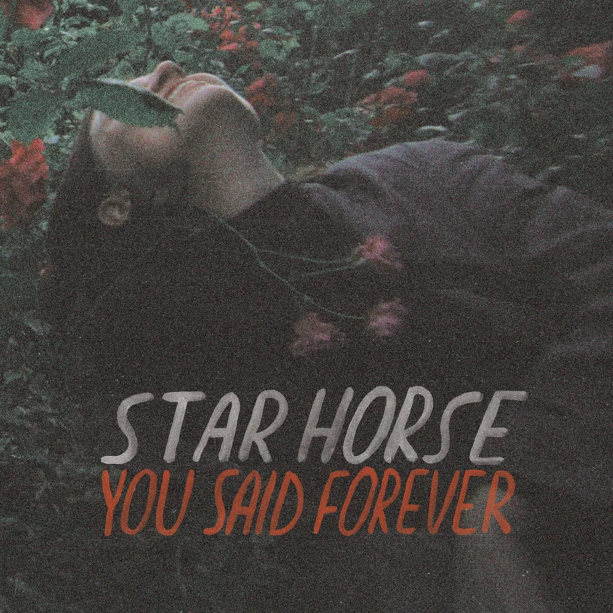 Obal alba Star Horse – You Said Forever