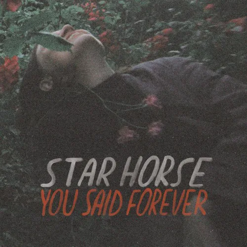 Cover of Star Horse – You Said Forever