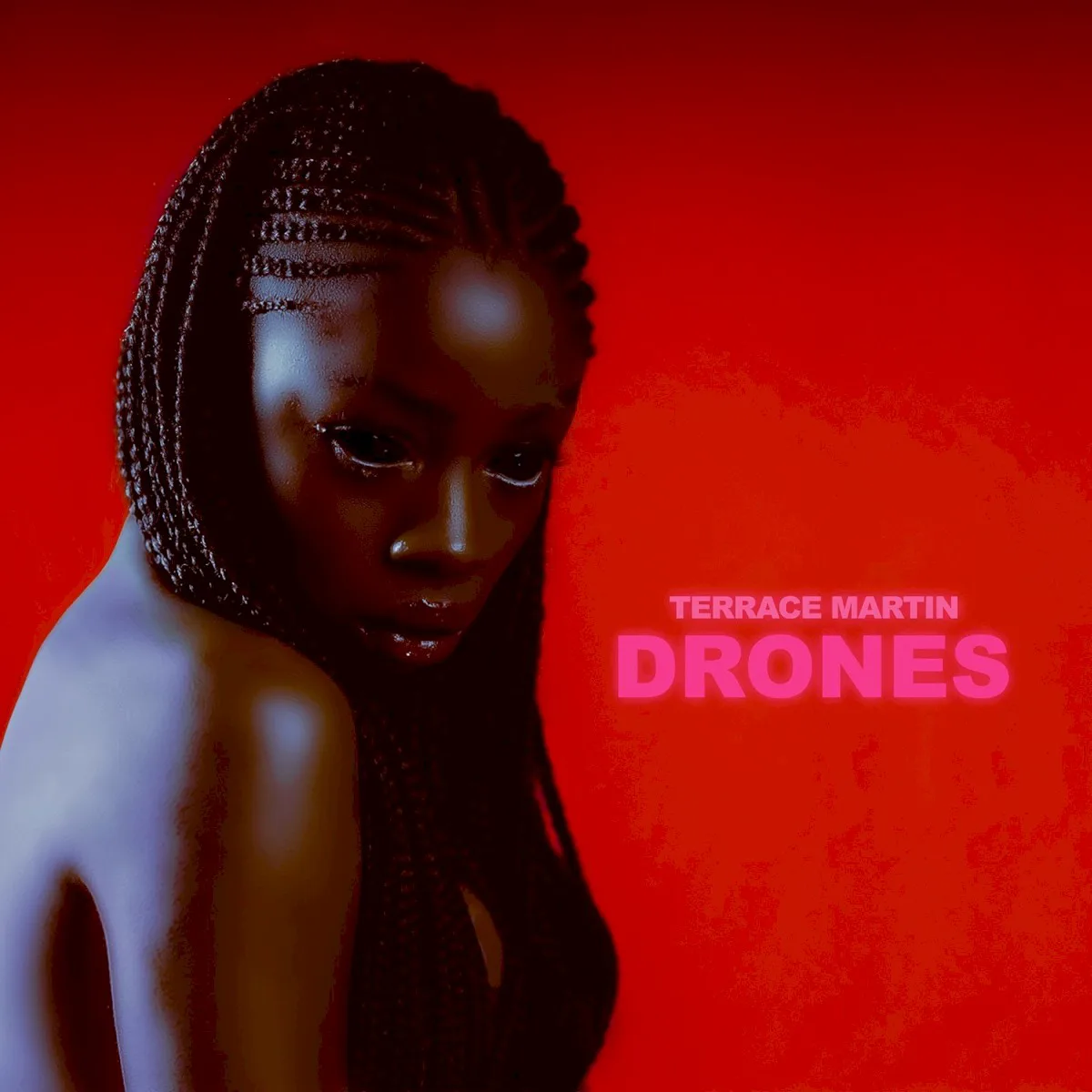 Cover of Terrace Martin – DRONES