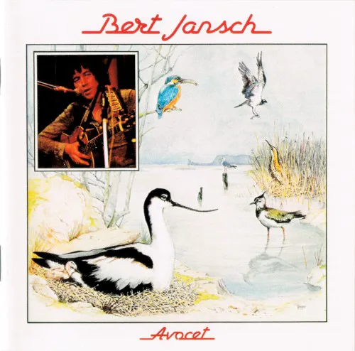 Cover of Bert Jansch – Avocet
