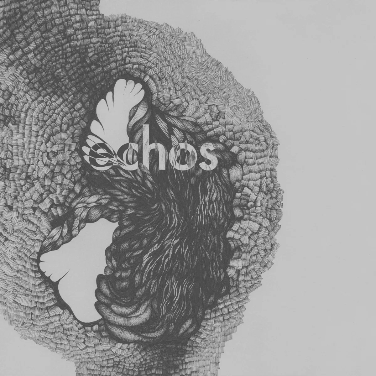 Cover of Late Night Alumni – Echos
