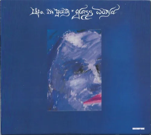 Cover of Citizen – Life in Your Glass World