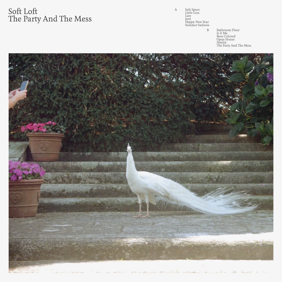 Cover of Soft Loft – The Party and the Mess
