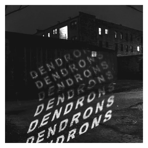Cover of Dendrons – Dendrons