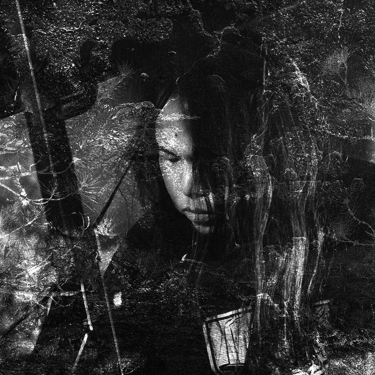 Obal alba Thisquietarmy – Langue Hybride